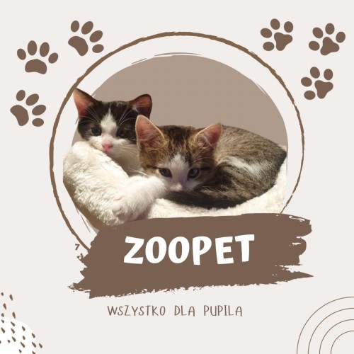 ZooPet - strona główna